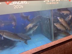-淘米捞·米汤脆鲩鱼火锅(福田皇岗店)