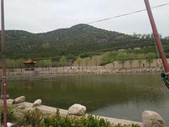 -五龙城郊森林公园