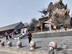 -大槐树寻根祭祖园