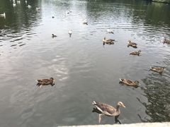 -维格兰雕塑公园