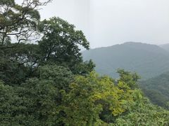 -青城山