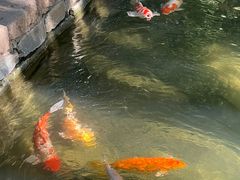 -春风习习