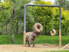 -北京野生动物园