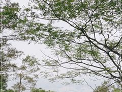 -白云山风景名胜区