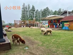 -太阳岛度假酒店