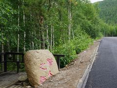 -莫尔道嘎国家森林公园