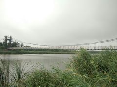 -西青郊野公园