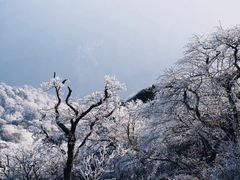 -梵净山旅游区