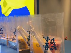 -春丽小马(济南恒隆广场店)