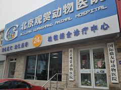 -北京观赏动物医院·24小时大型综合·猫专科·异宠专科