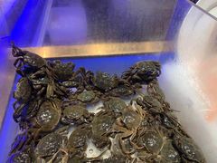 -诱货海鲜自助火锅(爱琴海购物公园东百店)