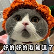 -CoCo都可(虹口龙之梦店)