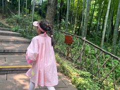-天目湖山水园