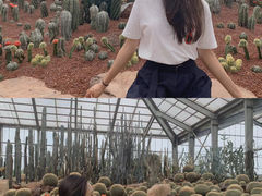 -南通洲际绿博园