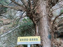 -大慈岩风景区