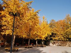 -长辛店二七公园