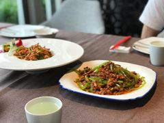 青椒肉丝-樽宴酒楼·地道川菜·品质宴请