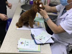 -动物缘宠物医院·骨科·猫科(西二环店)