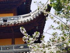 -龙华寺