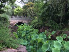 -花溪公园