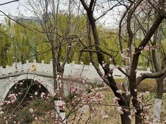 -大兴滨河森林公园