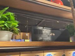 -探鱼·鲜青椒爽麻烤鱼(北京路天河城店)