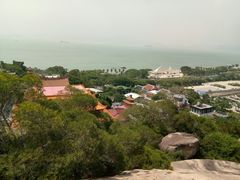 -音乐广场