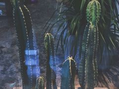 -植物学家的女儿(北马道巷店)