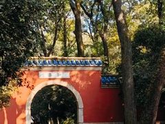 -灵谷景区
