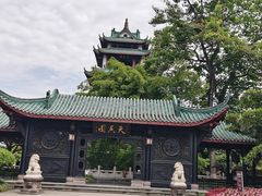 -桂湖森林公园