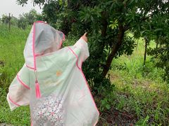 -塘栖枇杷特色园区