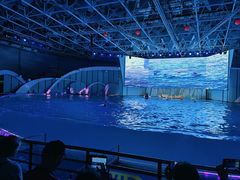 -海合安青岛极地海洋公园