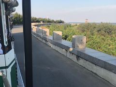 -日照海滨国家森林公园