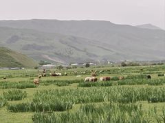 -新疆那拉提国家旅游度假区