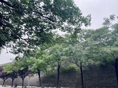 -蝦塘·中国餐馆(城墙南马道巷店)