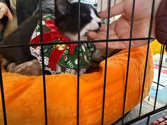 -北京华联购物中心(天通苑店)