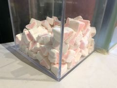 棉花糖-狐狸和向日葵(北京路店)