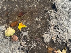 -天津盘山风景名胜区