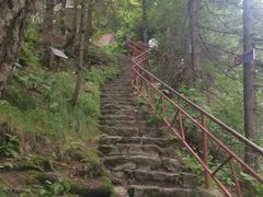 -芦芽山旅游度假区