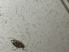 -邻岸海景民宿(南澳杨梅坑店)