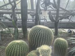 -南山植物园