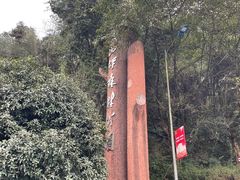 -铁山坪森林公园