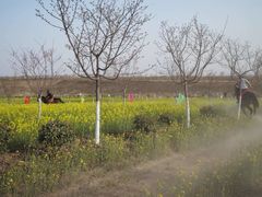 -古柏渡飞黄旅游区