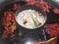 -蛙鱼潭美蛙鱼头火锅(解放碑瑞富广场店)