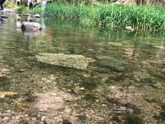 -碓臼峪自然风景区