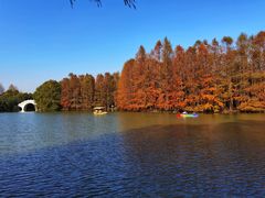 -上海海湾国家森林公园