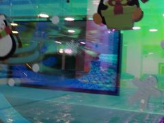 -乐游宝宝亲子游泳(徐汇中心)
