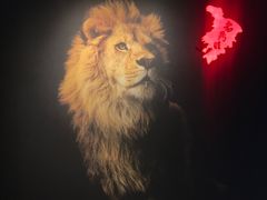 -老鼎旺安格斯牛肉火锅(衡艺广场店)