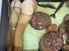 -强记海鲜·大排档(蛇口新街店)