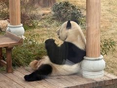 -无锡动物园·太湖欢乐园